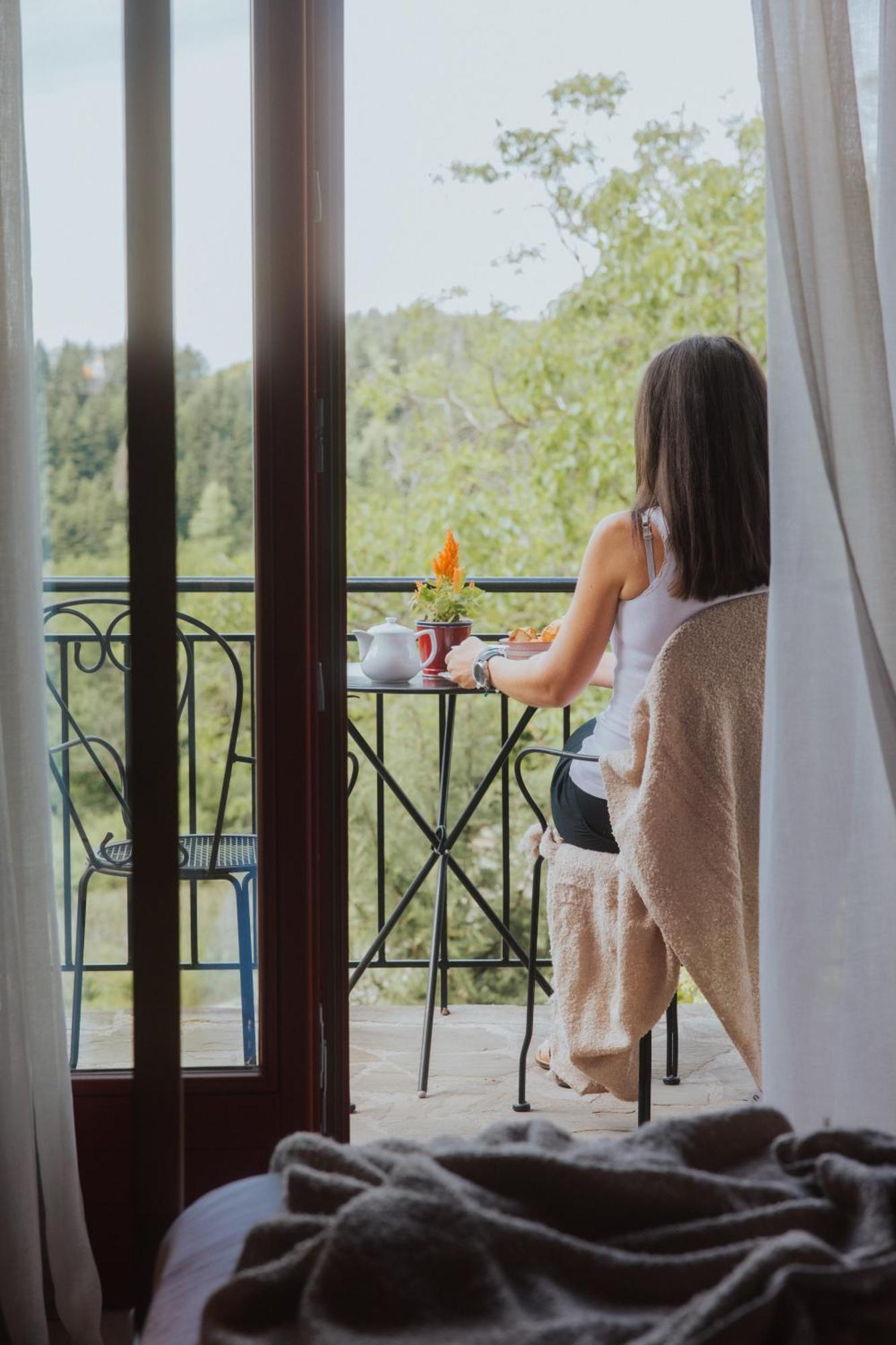 Rouista Tzoumerka Resort Vourgareli Номер фото